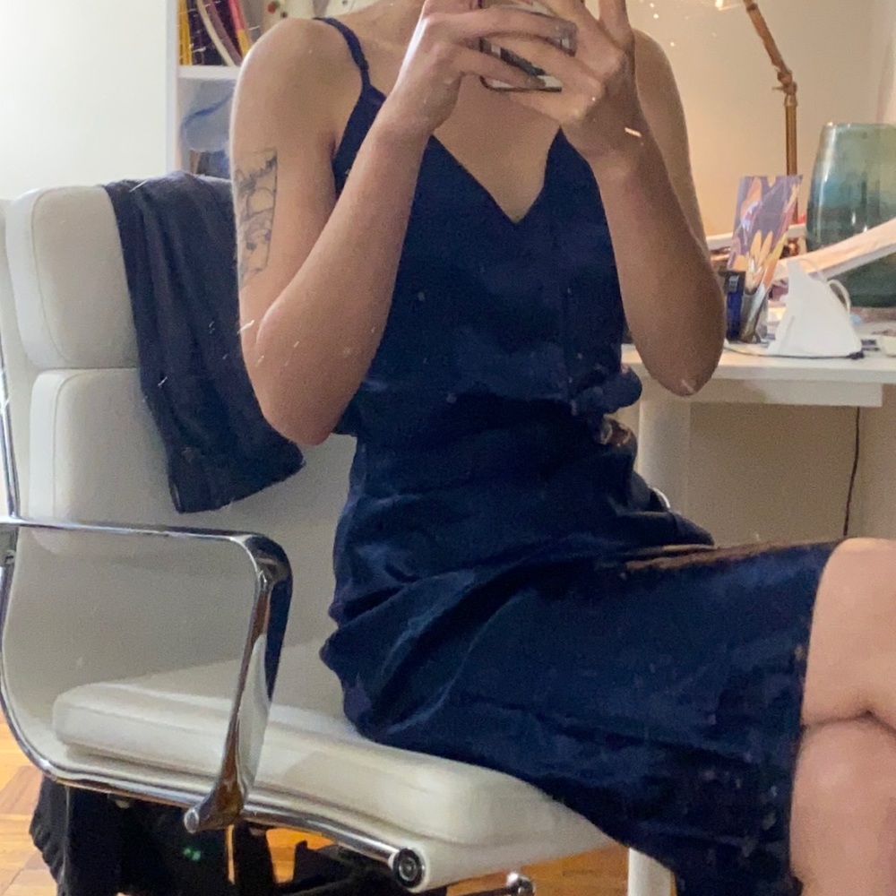 Babaton Slip Skirt